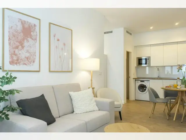 Apartamento 1 Dormitorio Málaga