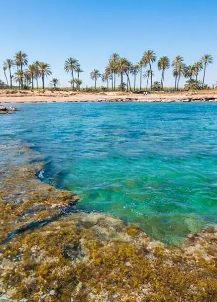 Apartamento en venta Torrevieja cerca de la playa