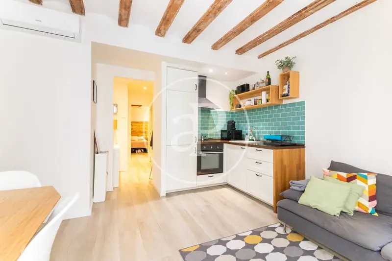 Apartamento Amueblado en el Born cerca de Santa Caterina