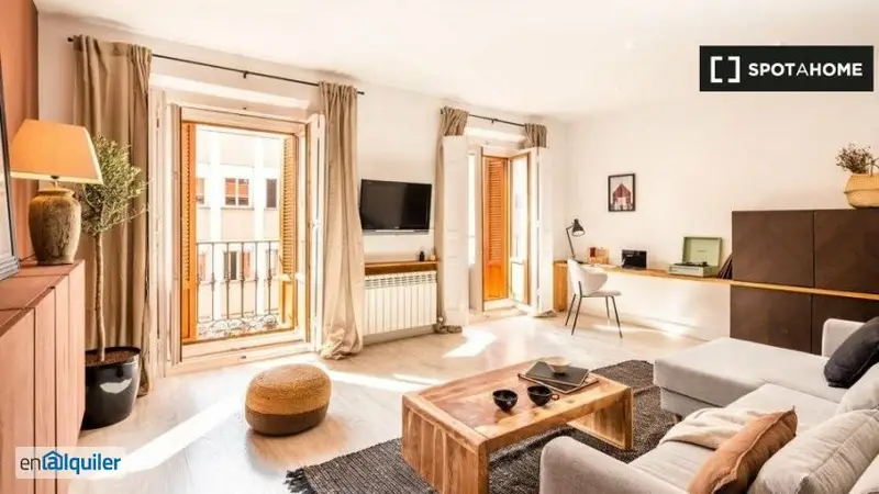Apartamento 1 Dormitorio Trafalgar Madrid Amueblado Mascotas