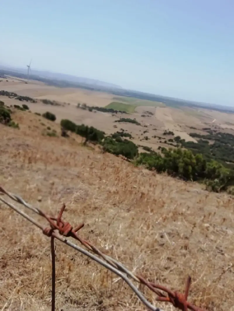 Venta Finca Campo Futbol Vejer Frontera