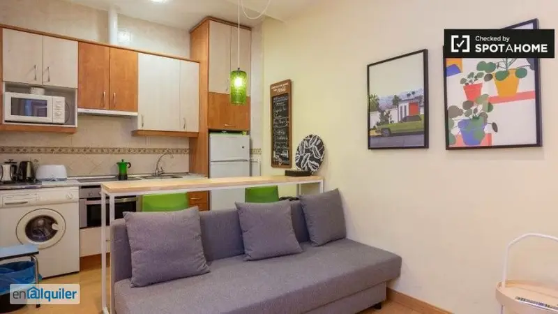 Acogedor Apartamento Lavapiés 1 Dormitorio Estilo Moderno