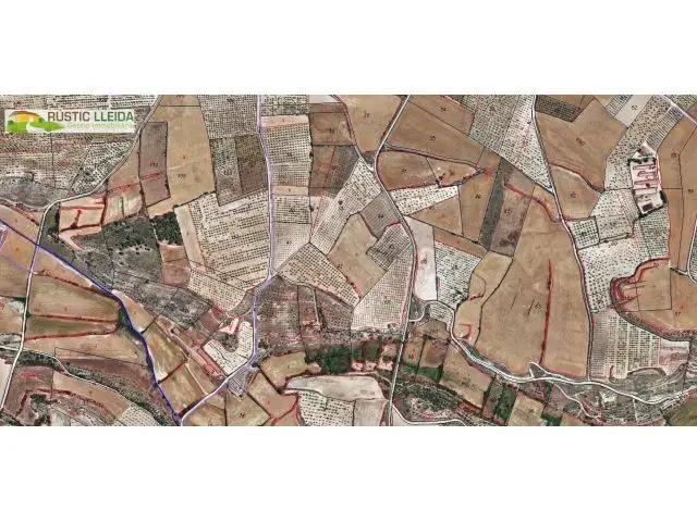 Finca Rústica (De Unas 7 Ha) En Les Borges Blanques.