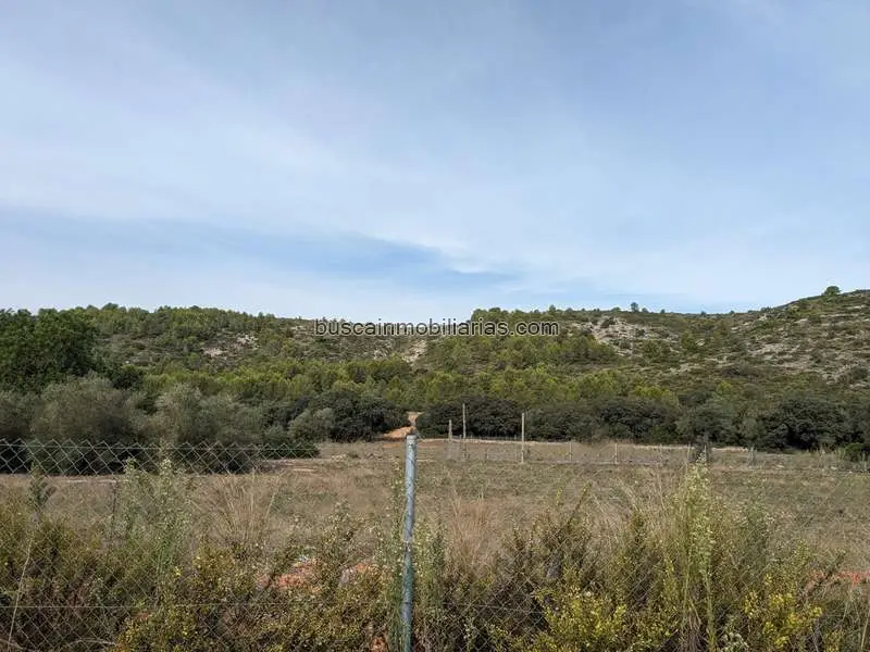 Parcela Rustica Alcalali 23000m2 Energia Renovable