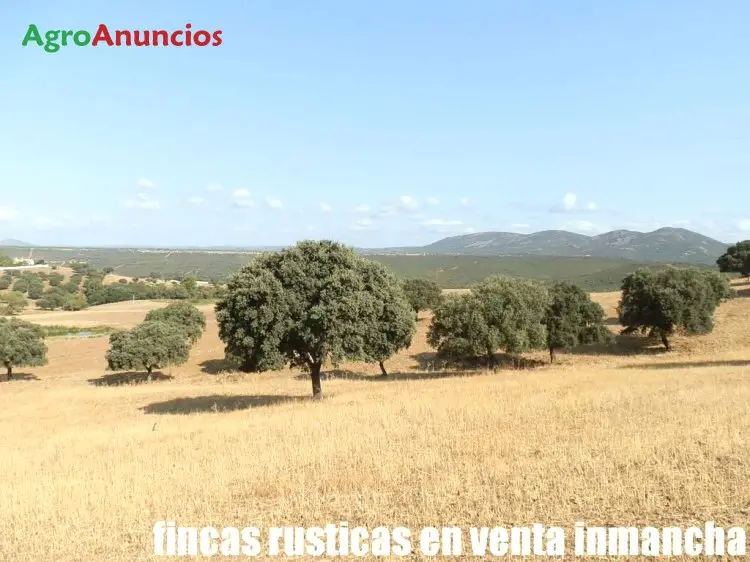 Venta  de Finca de labor, regadio y caza en Ciudad Real