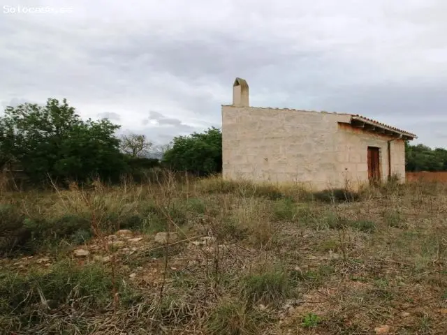 Terreno De 21.578 M2 Entre Binissalem Y Biniagual