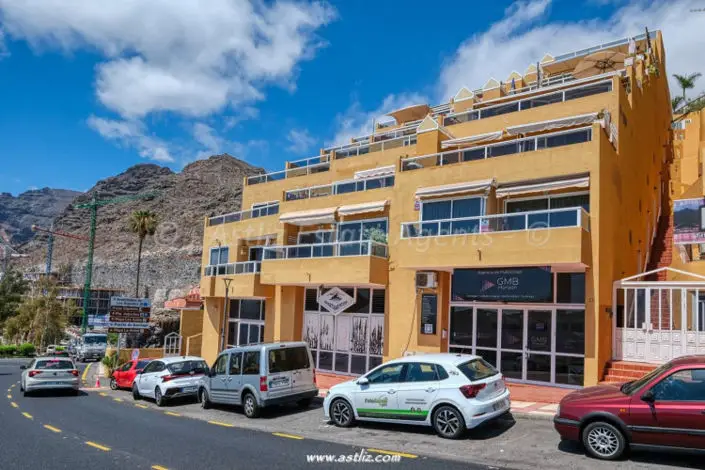 Apartamento 1 Dormitorio Los Gigantes Tenerife