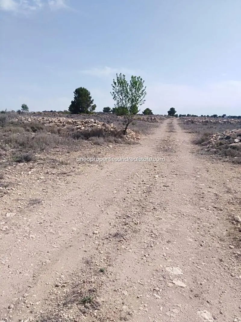 Parcelas en Venta Pinoso Alicante 11000m2 a 13000m2