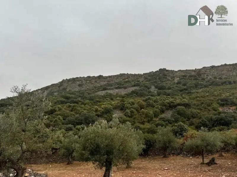 Venta Finca Caza Mayor 188 Has Badajoz