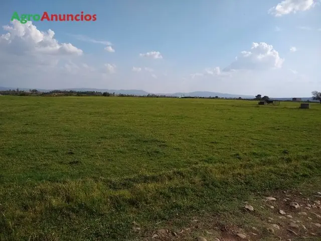 Venta  de Finca de regadio con vivienda e instalaciones ganaderas en Cáceres