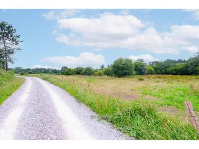 Terreno en Venta Llanera 15785m2