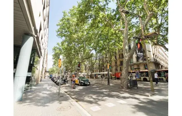 Habitacion 77m2 en Barcelona Coliving Amueblada