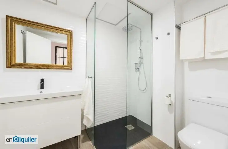 Piso en Alquiler Madrid 45m2 Amueblado  Julio