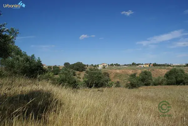 Finca Recreo Regadio Badajoz 15500m2