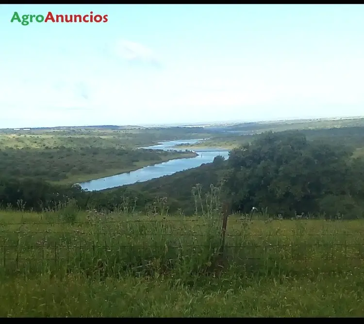 Venta  de Finca ganadera en Badajoz