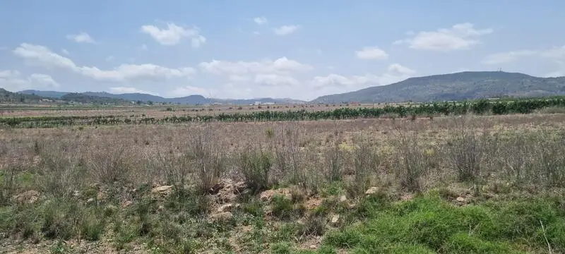 Parcela en Pinoso con Vistas: Construya su Casa de Ensueño