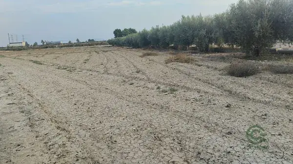 Terreno en Venta Totana 7528m2 Riego Agua