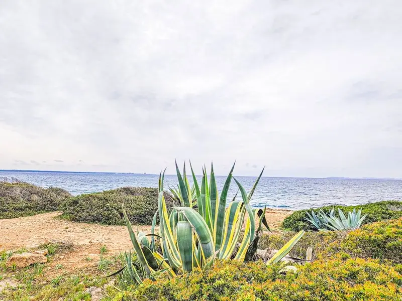 Adosado en Llucmajor con Vistas al Mar
