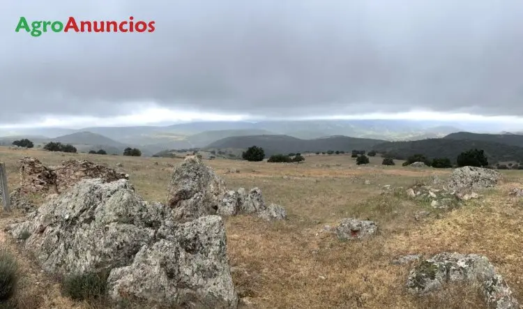 Finca de Caza en Ciudad Real 1000 Hectareas