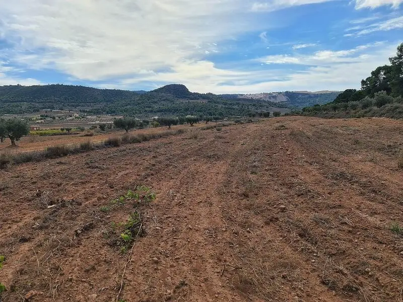 Terrenos en Venta Pinoso Alicante