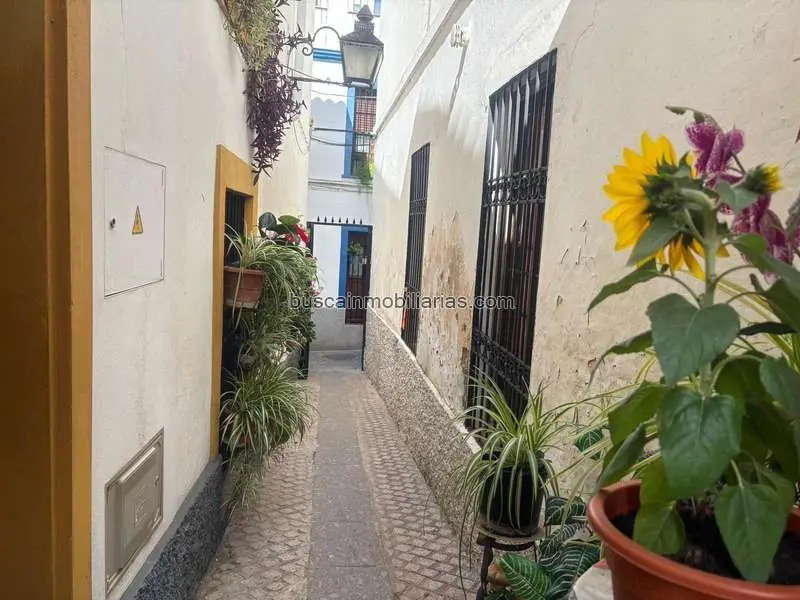 Solar Urbano 135m2 Casco Histórico Córdoba Apartamentos Turísticos