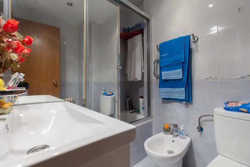 Habitacion Privada con Baño en Piso para Estudiantes Madrid