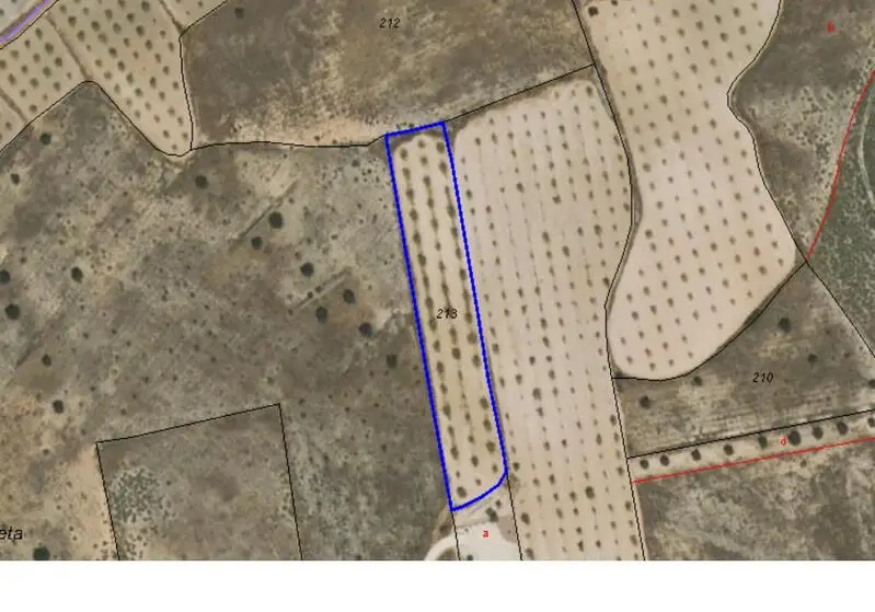 Almendro 3640m2 Jumilla Murcia Inversión Agricola