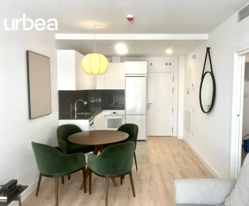Alquiler Piso 1 Dormitorio Málaga Diseño Piscina Vistas