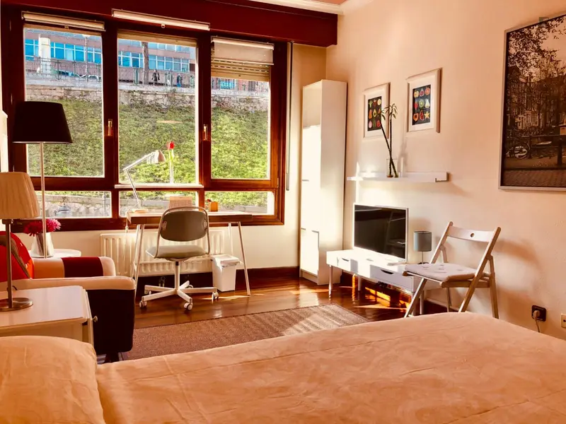 Habitacion Doble Exterior Loft Guggenheim