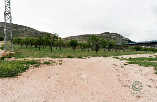 Zaragoza, ALHAMA DE ARAGÓN, 0.5ha
