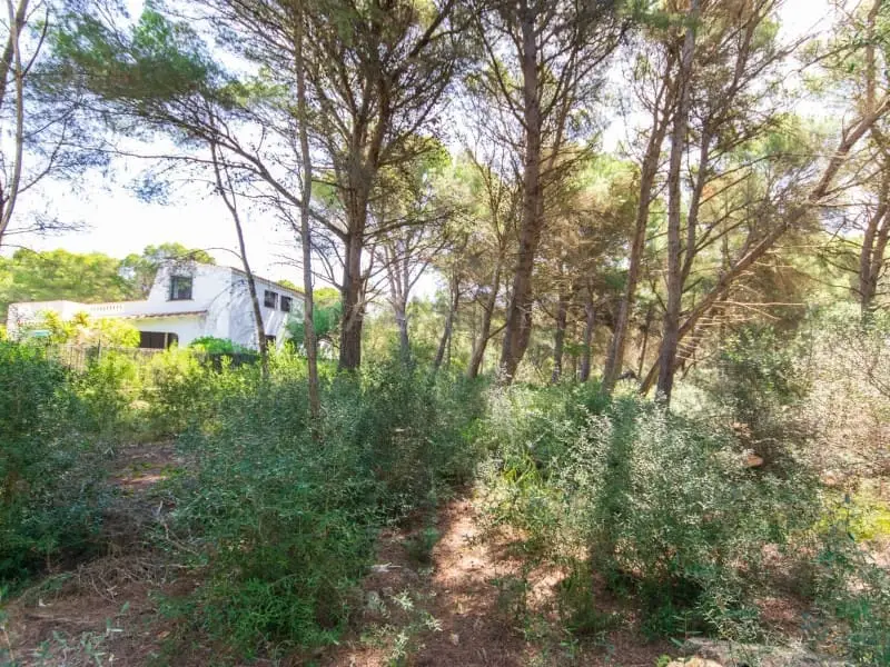 Solar en Venta Son Parc Menorca Proyecto Visado
