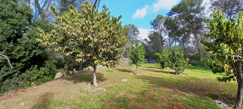 Finca Rústica con Piscina en Sencelles Mallorca