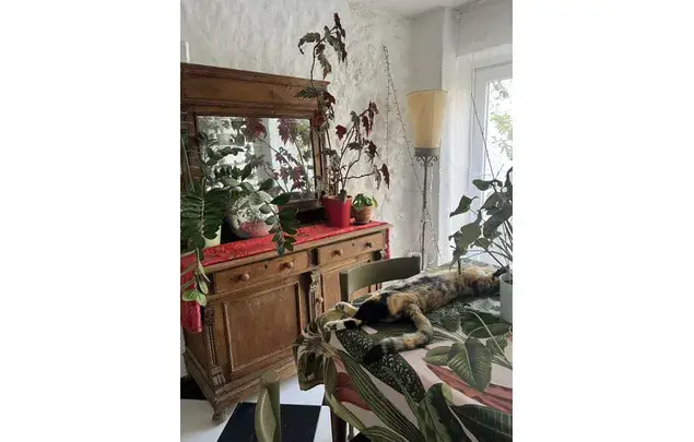 Alquiler Habitacion 200m2 Casarabonela Finca con Encanto