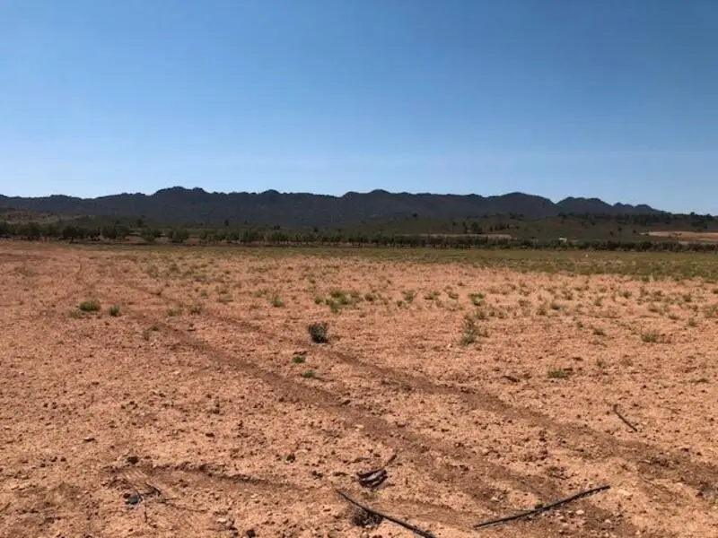 Terreno Agricola en Venta Yecla Murcia 25704m2