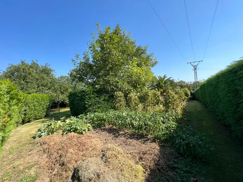 Venta Terreno en Liaño Villaescusa Santander