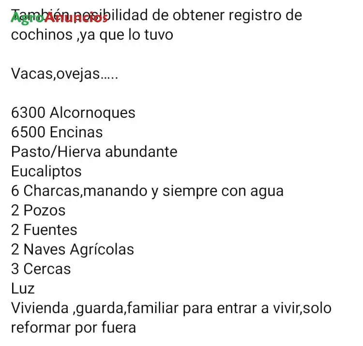 Venta de Finca Ganadera en Badajoz