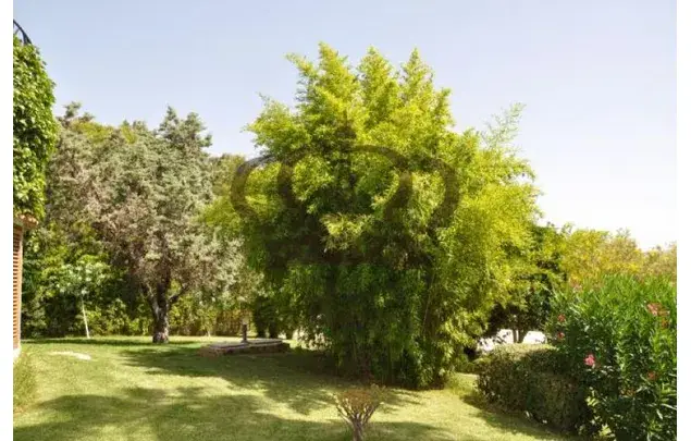 Casa en Bétera 7 dormitorios 4 baños 400m2