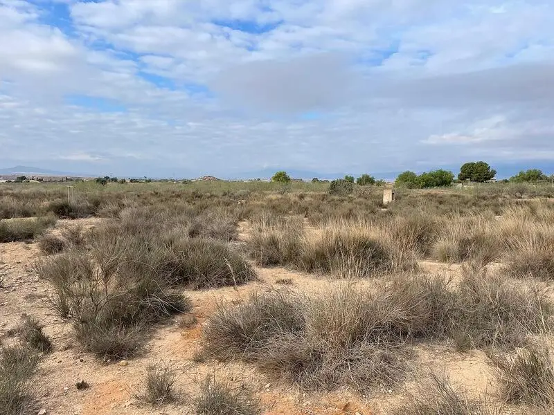 Terreno en Venta Los Munoces Alhama de Murcia