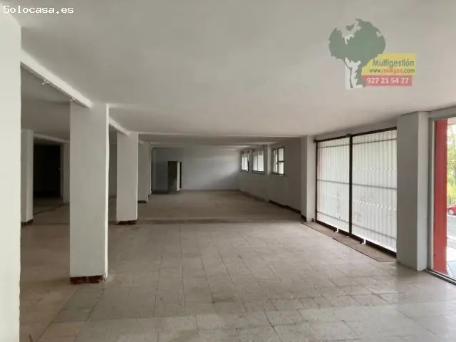 Local Comercial Avda Hernan Cortes 370m2 Planta Baja 335m2 Planta Primera