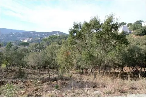 Terrenos en Venta Calonge Cerca del Mar
