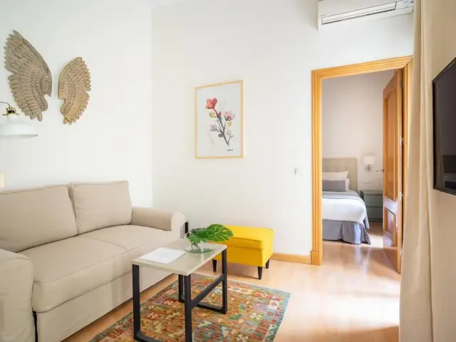 Apartamento 1 Dormitorio Malaga Centro Playa