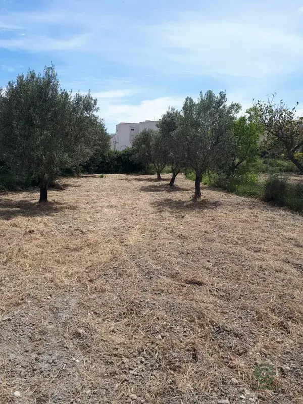 Parcela Rustica en Tijola Almeria 1700m2