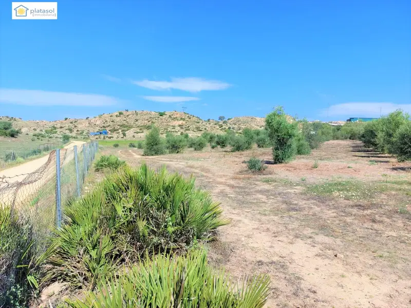 Venta Terrenos Rusticos Gerena 36 a 115 Hectareas
