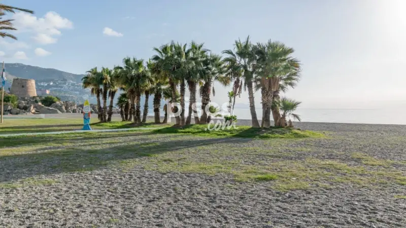 Piso en venta en Urbanizacion Fuentes Almuñecar