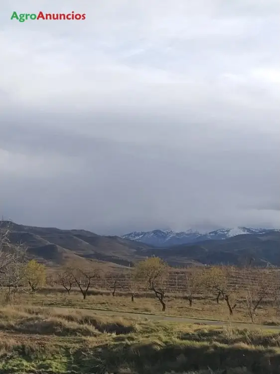 Venta  de Finca agrícola con naves y casa en La Rioja