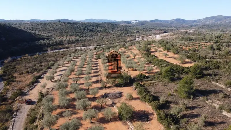 Finca Rustica Olivar Cervera del Maestre 35000m2 Casa 50m2