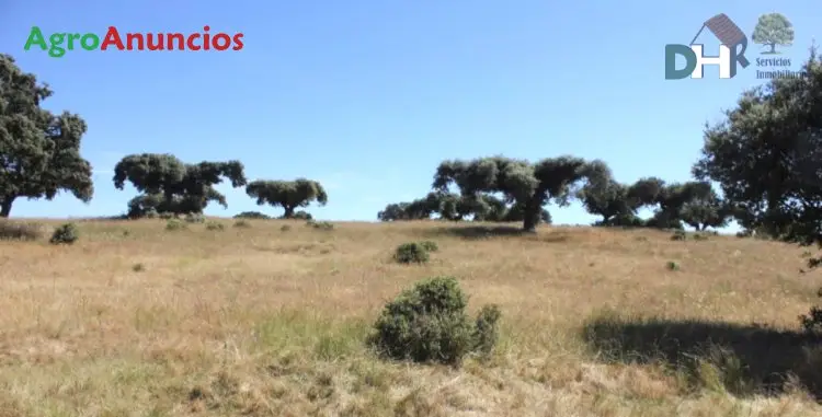 Venta  de Finca ganadera en Salamanca