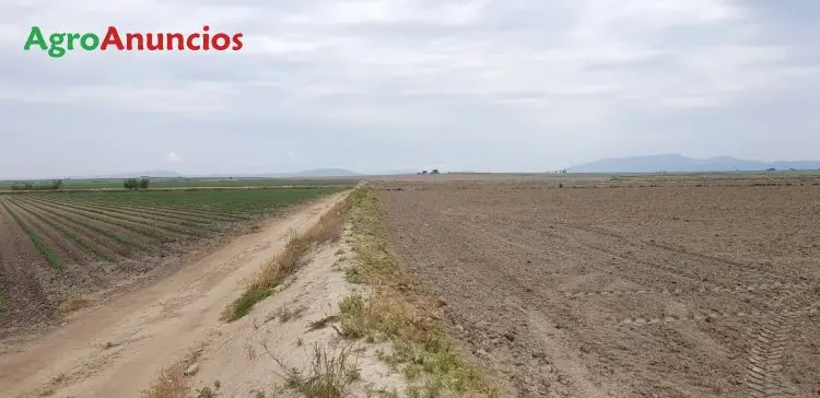 Venta  de Finca de regadío en Badajoz