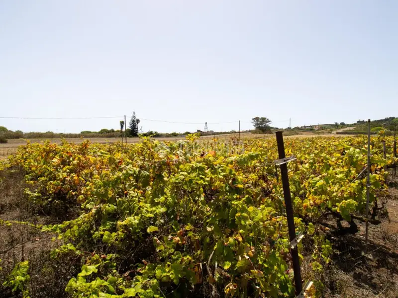 Terrenos en venta en San Cristóbal De La Laguna