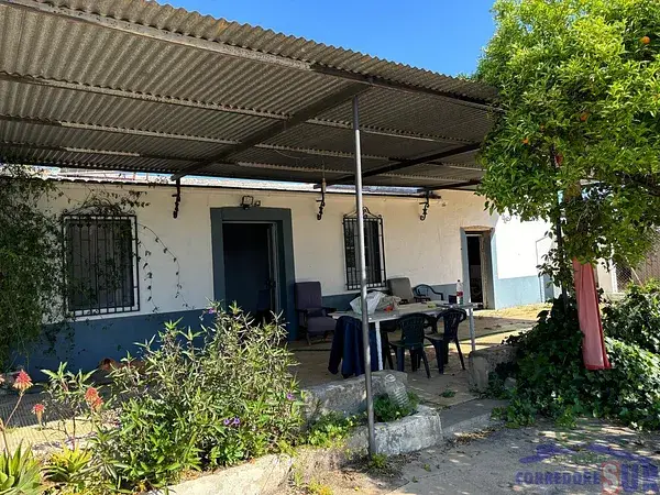 Finca con Olivos Casa y Nave cerca de Adamuz